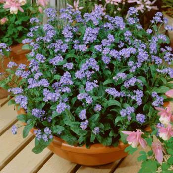 奋斗拼搏的正能量句子精选80句