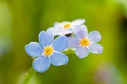 今天很开心的句子 表达描写今天开心的句子