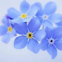 2021重阳节祝福语句子最新(精选84条)