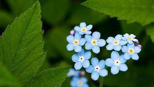 天气热的搞笑说说 被太阳晒的搞笑说说摘录收录22句