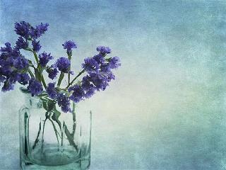 2021情人节最暖心简短的祝福语