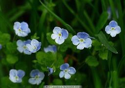 2021冬至祝福语句简短唯美 2021冬至的美好寓意祝福语