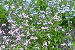 好天气带上好心情的唯美句子 天气好心情好的说说心情句子