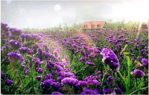 2021八月你好的唯美句子(精选69句)