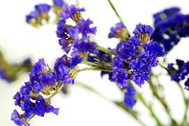 褁