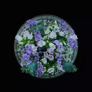 2020简短教师节祝福语