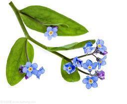 2021年三八妇女节超赞祝福语文案