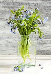 蜾