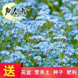 含有人生哲理的说说 微信哲理说说48句