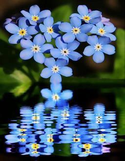 形容人自私的句子43句