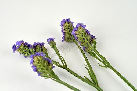 女朋友彻底对我失望的句子