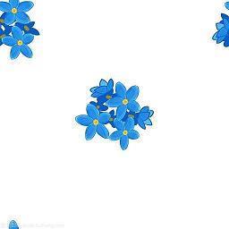 小学生关于挖笋的作文200字300字400字500字十篇