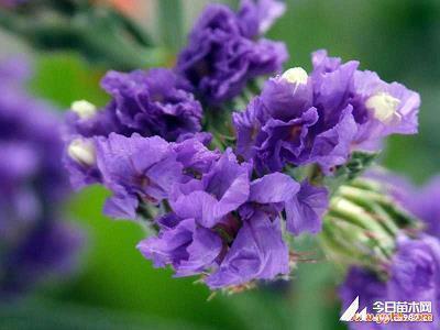 2021新年祝福语简短创意