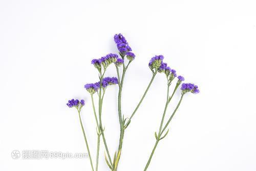 2021升职祝福语简短正能量(精选44条)