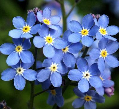 2021小雪文案朋友圈文案大全(精选77条)