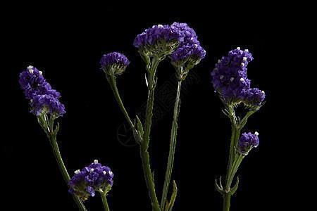 2020年最后一天的跨年祝福语朋友圈