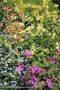 形容友情经不起考验的句子