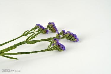 2021儿童节祝福语大全简短汇编77句