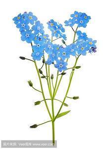 2021七夕祝福语简短一句话搞笑(精选64条)