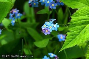 自秘