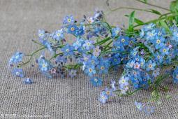 分手离别时给对方的话