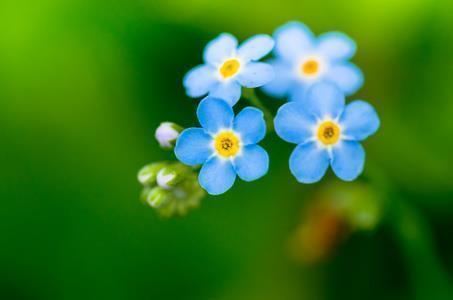 2020五一劳动节祝福语大全