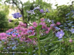 2021端午节祝福语怎么说好