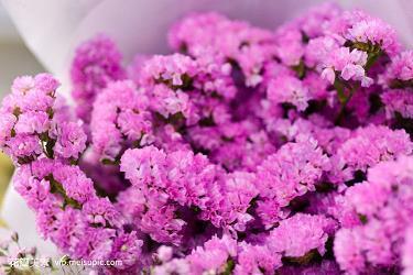 对婚姻失望 对老公绝望的句子49句