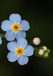 蜕