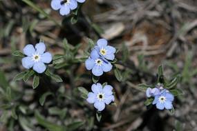 关于7月你好简单心情说说句子 七月怎么发朋友圈(精选24句)