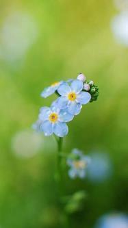 2021八月你好经典文案说说(精选74句)