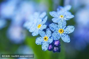 晚安说说语录 不要让过去的回忆，来折磨现在的自己