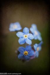 2020生日搞笑祝福语短信