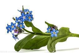 懒癌晚期的心情说说