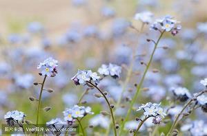 带孩子累到崩溃的句子 带孩子心酸和无奈说说推荐33句