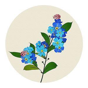 节葬