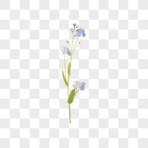 2021给客户的端午祝福语合集76句