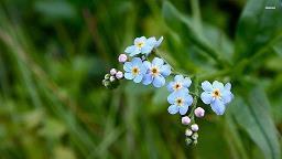 2021高考倒计时1个月 高考倒计时30天口号精选71句