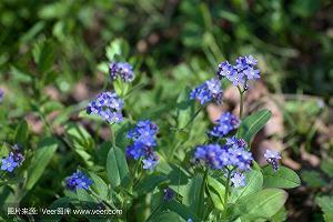 九月再见十月你好早安语录 十月你好早安短语说说