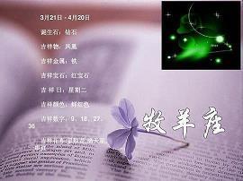 铺