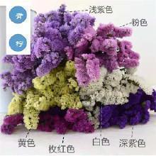 谋为不轨