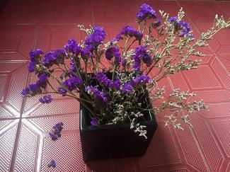豔