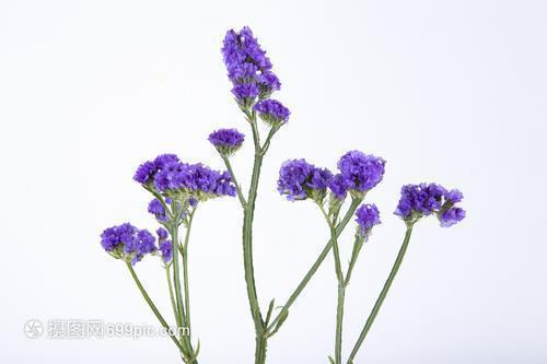 恋爱纪念日的浪漫说说 情侣间高端秀恩爱句子29句