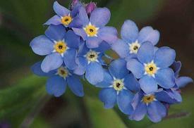 天气转凉注意保暖文案(精选75句)