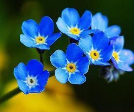 2021激励的话语句子经典