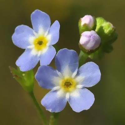 内心快要崩溃了的句子