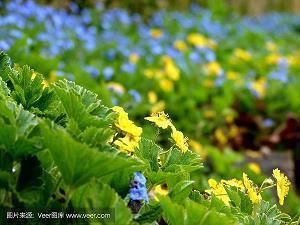 努力拼搏不负青春的名言语录21句