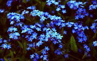 2021中秋节快乐团圆祝福文案(精选80句)