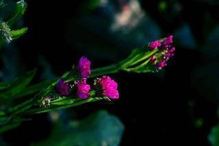 岁月感慨的说说心情 岁月极美说说47句