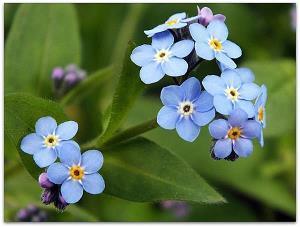 2021牛年春节祝福语简短独特的句子